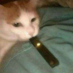 robik